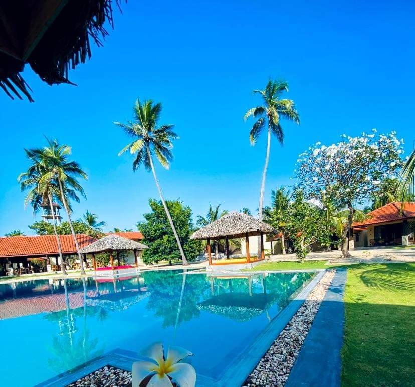 Blue Waves Kite Surfing Beach Resort Kalpitiya Bagian luar foto
